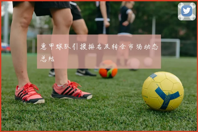 意甲球队引援排名及转会市场动态总结
