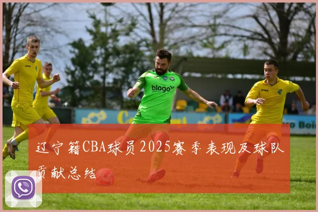 辽宁籍CBA球员2025赛季表现及球队贡献总结