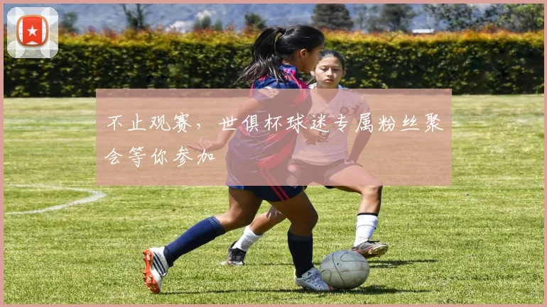 不止观赛，世俱杯球迷专属粉丝聚会等你参加