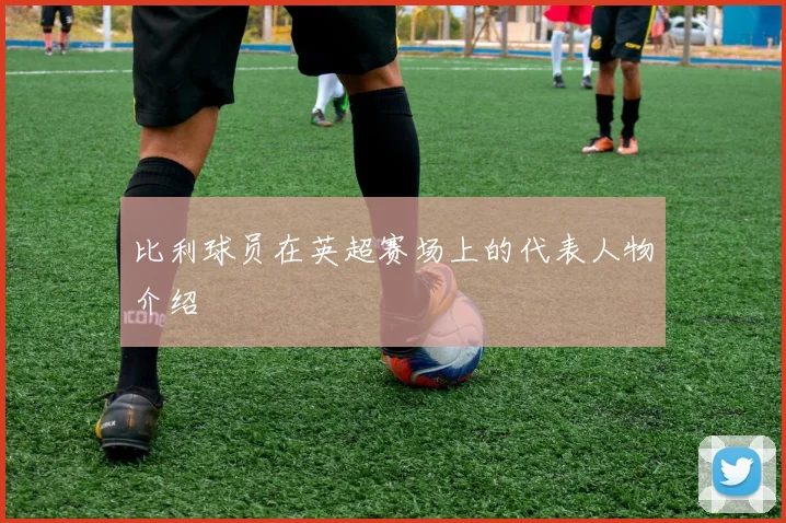 比利球员在英超赛场上的代表人物介绍