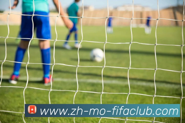 火箭队2005年球员名单回顾及球队变化解析