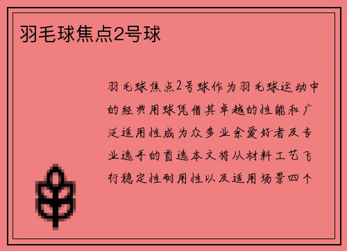 羽毛球焦点2号球